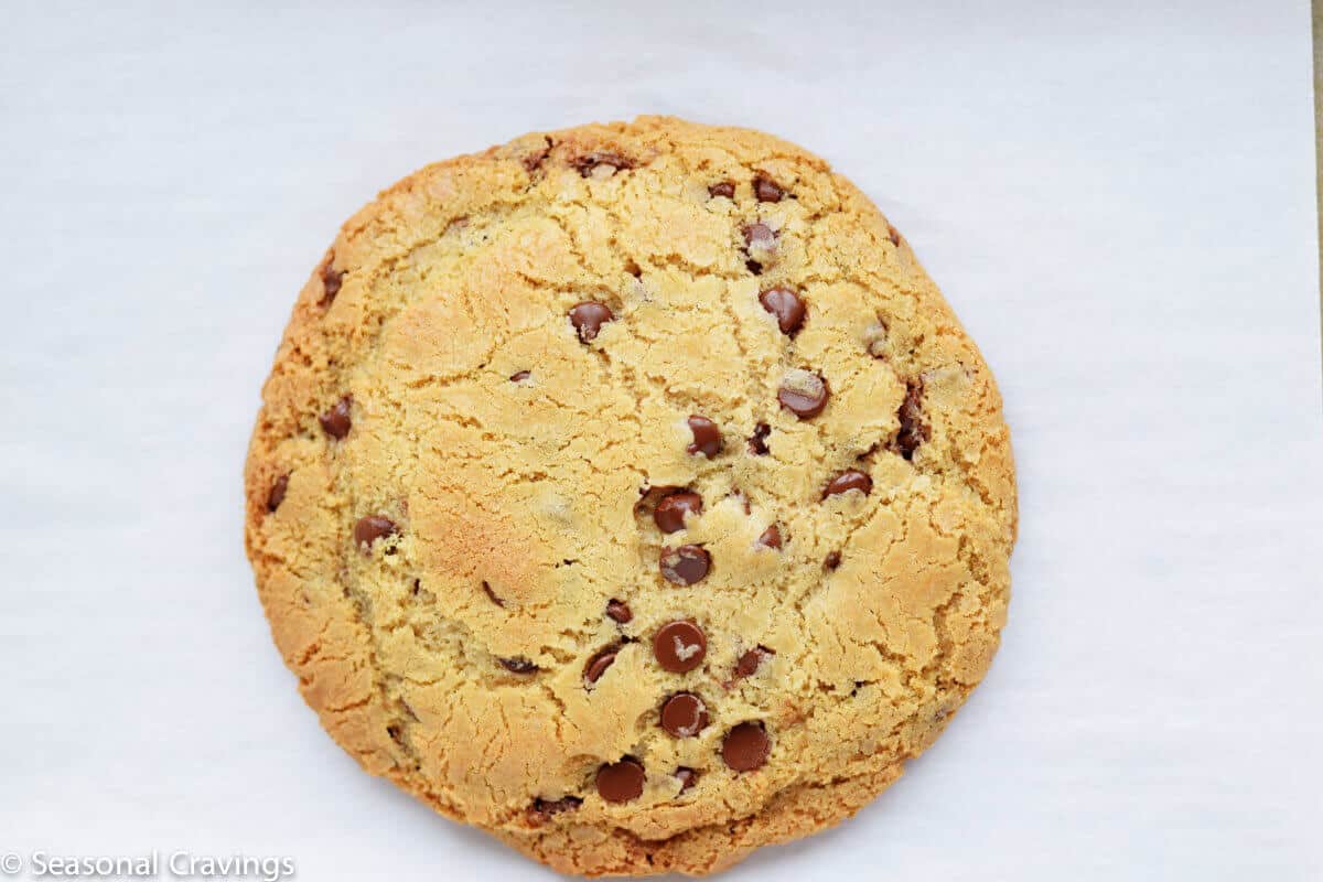 Single Serve Chocolate Chip Cookie - Gluten Free