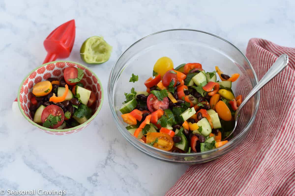 Skinny Cucumber and Tomato Salad in two bowls with spoon