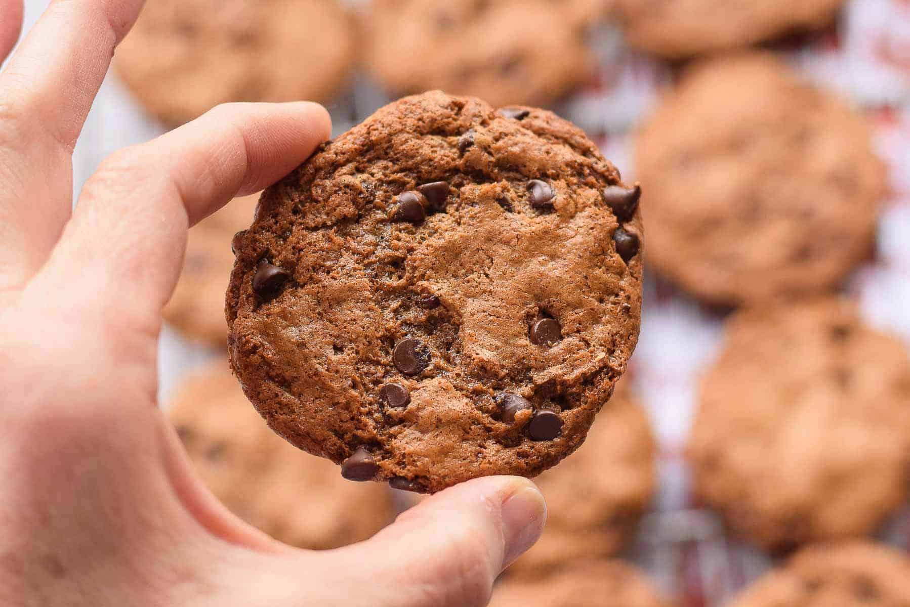 hand with one flourless chocolate chip cookie