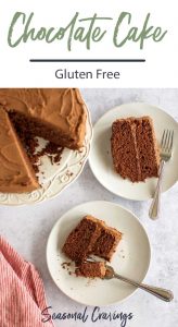 Gluten-free chocolate cake served on a plate.