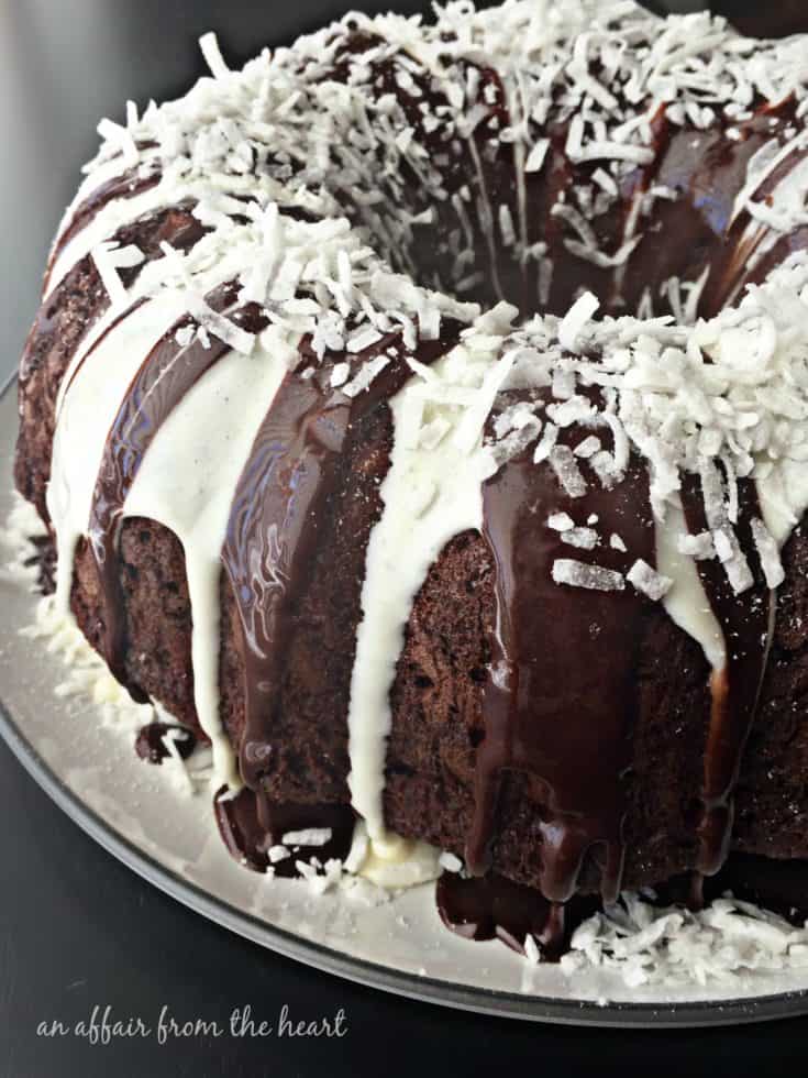 Chocolate Macaroon Tunnel Cake 